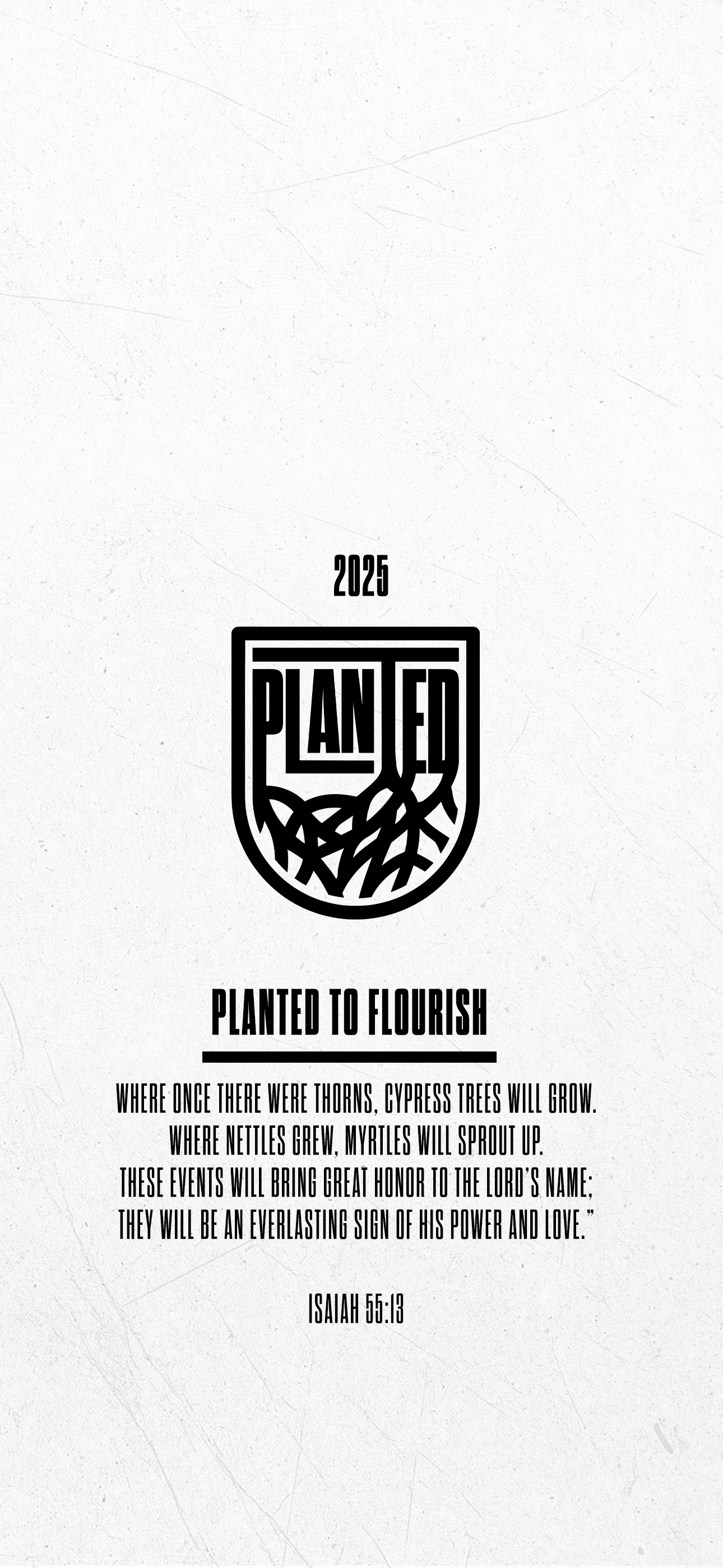 Planted_Wallpaper 2